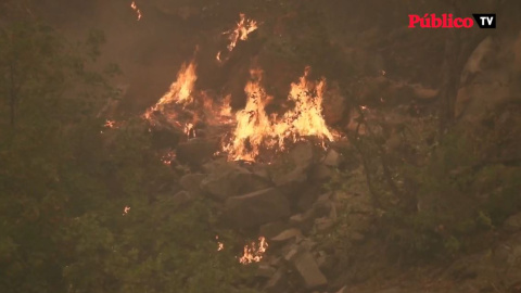 Incendios en Estados Unidos: el fuego se expande Incendios en Estados Unidos: el fuego se expande