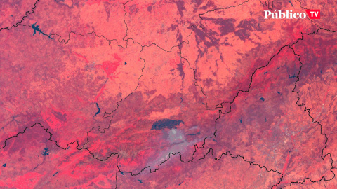 Incendios y la crisis climática: "Es humanamente imposible apagar un incendio a 40 grados" Incendios y la crisis climática: "Es humanamente imposible apagar un incendio a 40 grados"