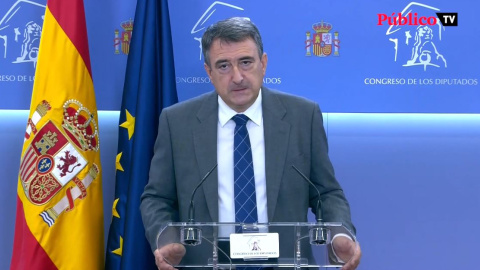 Aitor Esteban pide que la UE actúe en el mercado del gas para bajar el precio de la luz Aitor Esteban pide que la UE actúe en el mercado del gas para bajar el precio de la luz