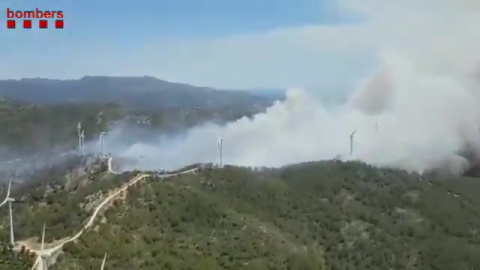 El incendio del Perelló (Tarragona) arrasa unas 150 hectáreas El incendio del Perelló (Tarragona) arrasa unas 150 hectáreas