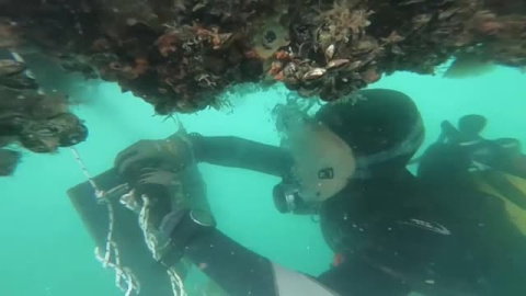 Italia: una bahía inteligente para entender el cambio climático Italia: una bahía inteligente para entender el cambio climático