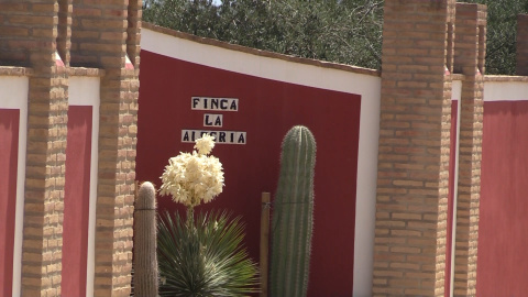Todo listo en 'La Alegría' para la boda de Sergio Ramos y Pilar Rubio Todo listo en 'La Alegría' para la boda de Sergio Ramos y Pilar Rubio