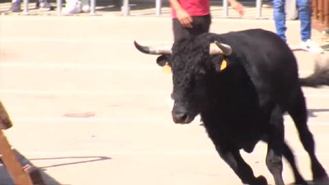 Vuelven los Bous al carrer Vuelven los Bous al carrer