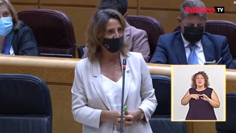 Teresa Ribera reprocha al PP su "cinismo" con el problema del Mar Menor Teresa Ribera reprocha al PP su "cinismo" con el problema del Mar Menor