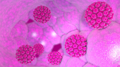 virus-del-papiloma-humano-iStock-1060642882