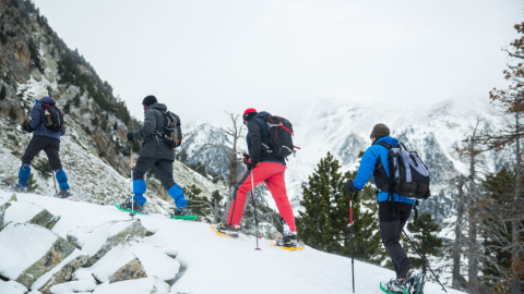 Passejada amb raquetes de neu pel Parc Nacional de les Capçaleres del Ter i el Freser (Setcases). Passejada amb raquetes de neu pel Parc Nacional de les Capçaleres del Ter i el Freser (Setcases).