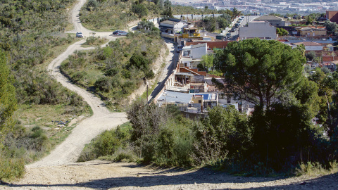 IMG_6810 copia