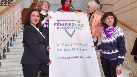 Feministas al Congreso Feministas al Congreso