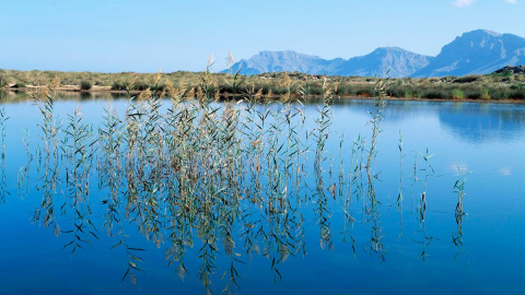  Muro, Sa Pobla (Mallorca). Fuente: AETIB - Govern de les Illes Balears / Autor: Climent Picornell
