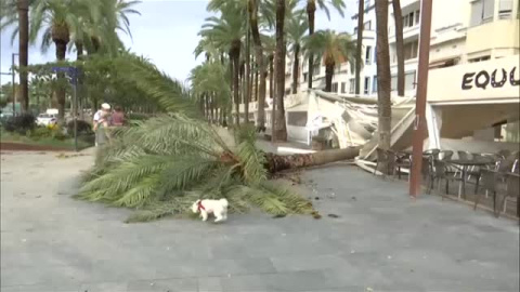 La tormenta golpea con fuerza Vilanova i la Geltrú La tormenta golpea con fuerza Vilanova i la Geltrú
