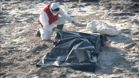 Recuperan 20 cuerpos en las playas de Libia Recuperan 20 cuerpos en las playas de Libia