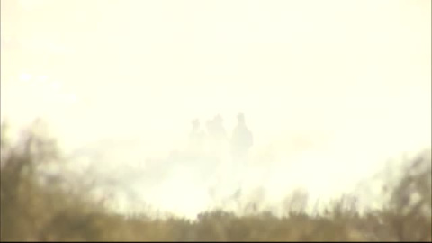 Estabilizado el incendio de Isla Canela en Ayamonte (Huelva) Estabilizado el incendio de Isla Canela en Ayamonte (Huelva)