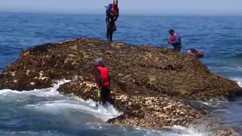 Los percebeiros, un trabajo a merced del mar Los percebeiros, un trabajo a merced del mar