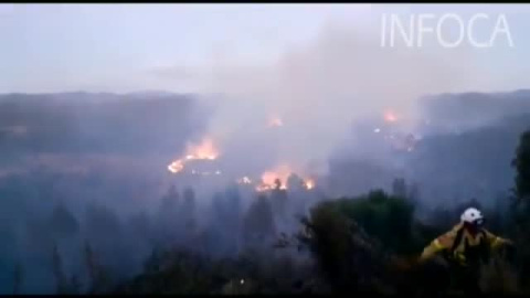 Los bomberos trabajan en un incendio forestal en Huelva Los bomberos trabajan en un incendio forestal en Huelva