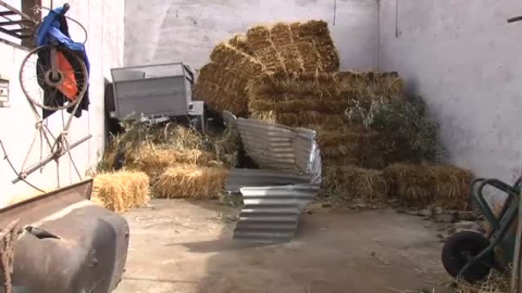 Un tornado arrasa una granja en Campillos (Sevilla) Un tornado arrasa una granja en Campillos (Sevilla)