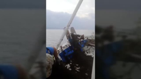 Toneladas de algas siguen invadiendo Tarifa (Cádiz) Toneladas de algas siguen invadiendo Tarifa (Cádiz)