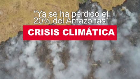 Crisis climática: "Ya se ha perdido el 20% del Amazonas" Crisis climática: "Ya se ha perdido el 20% del Amazonas"