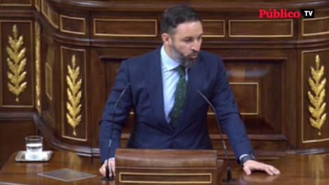El alegato racista de Abascal en el Congreso El alegato racista de Abascal en el Congreso