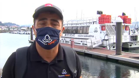 Un delfín trata desesperadamente salvar a su cría Un delfín trata desesperadamente salvar a su cría