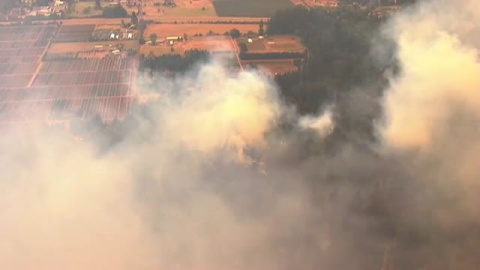 Alerta en EEUU por 85 incendios en la costa de Oregon Alerta en EEUU por 85 incendios en la costa de Oregon