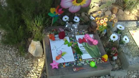 Día de Todos los Santos en los cementerios de mascotas Día de Todos los Santos en los cementerios de mascotas