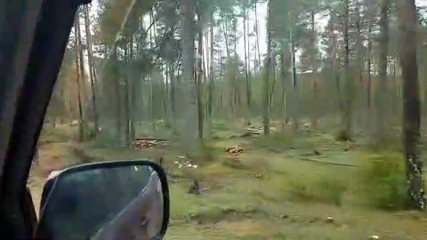 Las talas para fabricar pellets se comen el bosque del nacimiento del Tajo Las talas para fabricar pellets se comen el bosque del nacimiento del Tajo