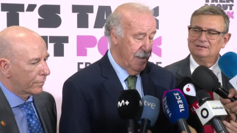 Vicente del Bosque: "Debemos tener la máxima confianza en la selección" Vicente del Bosque: "Debemos tener la máxima confianza en la selección"
