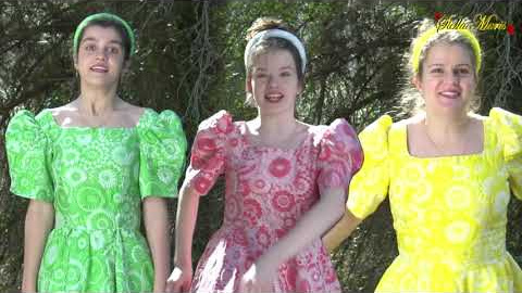 YouTube video player YouTube video player