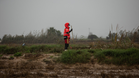Un bombero realiza labores de búsqueda en L'Albufera, a 13 de noviembre de 2024. Un bombero realiza labores de búsqueda en L'Albufera, a 13 de noviembre de 2024.