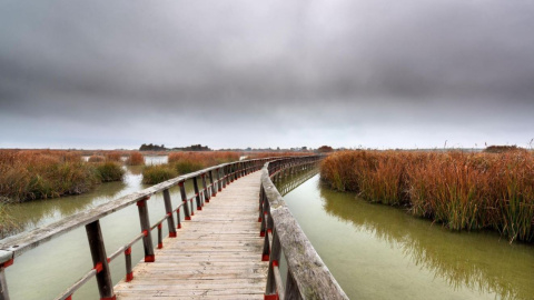 Tablas de Daimiel Tablas de Daimiel