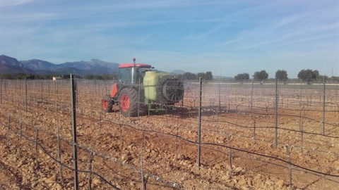 Los ‘agricultores de sofá’ ya duplican a los que sí trabajan la tierra. / Europa Press