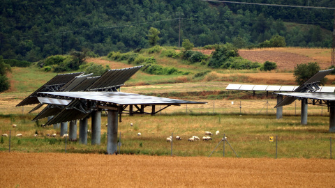 Camp solar a Aguilar de Segarra, al Bages. ACN
