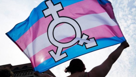 Una persona sujeta una bandera trans y género neutro durante una manifestación en Berlín. | EFE