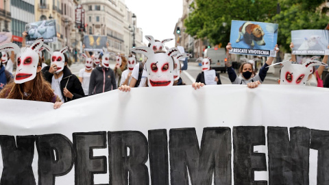 Manifestación Vivotecnia