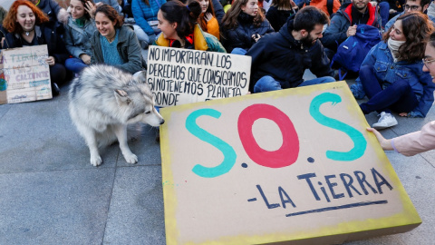 Manifestantes de Fridays For Future en una concentración frente al Congreso de los Diputados en Madrid en noviembre de 2019.