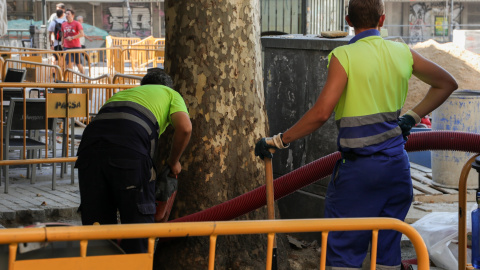 04/09/2019. Imagen de archivo de dos obreros trabajando, en Madrid. - EUROPA PRESS