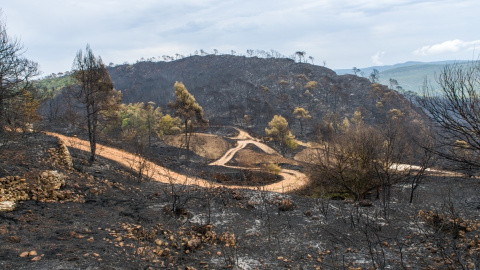 extinción helicóptero incendio