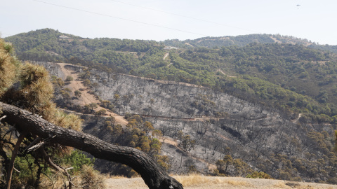 11/09/2021 Incendio en Sierra Bermeja, Málaga
