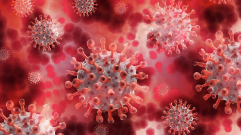 "Omicrón", la nueva variante sudafricana del coronavirus