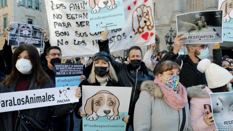 Diferentes entidades animalistas y ecologistas convocaron este mediodía una concentración de protesta en la plaza de Sant Jaume de Barcelona