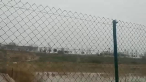 El dueño de una hípica vive con sus caballos por la crecida del Ebro El dueño de una hípica vive con sus caballos por la crecida del Ebro