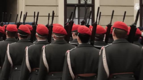 Viaje oficial de los Reyes a Austria Viaje oficial de los Reyes a Austria