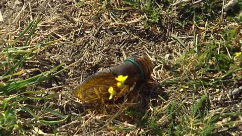 Bandas de jóvenes con machetes atacan en Madrid Bandas de jóvenes con machetes atacan en Madrid