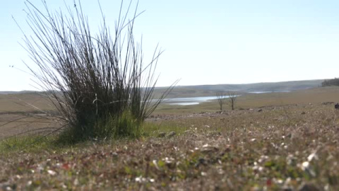 La playa de La Serena se queda sin agua La playa de La Serena se queda sin agua