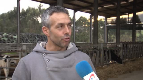 Una vaca cántabra la mejor en el Campeonato de Europa de Cremona Una vaca cántabra la mejor en el Campeonato de Europa de Cremona