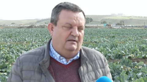 Los agricultores celebran la lluvia como maná para sus cosechas Los agricultores celebran la lluvia como maná para sus cosechas