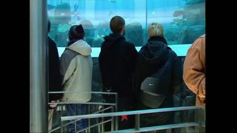 Estalla un acuario de 14 metros en Berlín Estalla un acuario de 14 metros en Berlín