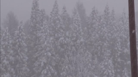 El frío extremo deja al menos 17 muertos en Japón El frío extremo deja al menos 17 muertos en Japón