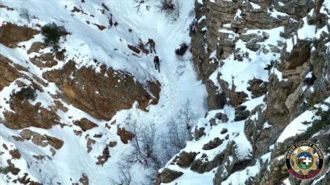 Rescatan a Nala, una perra perdida en un espectacular paraje en las montañas de Utah Rescatan a Nala, una perra perdida en un espectacular paraje en las montañas de Utah