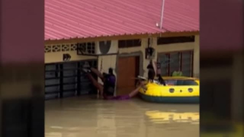 Rescatan una camada de gatos en las inundaciones de Malasia Rescatan una camada de gatos en las inundaciones de Malasia